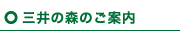 �O��̐X�̂��ē�