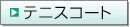 �e�j�X�̂��ē�