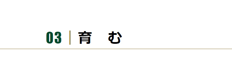 03|育む