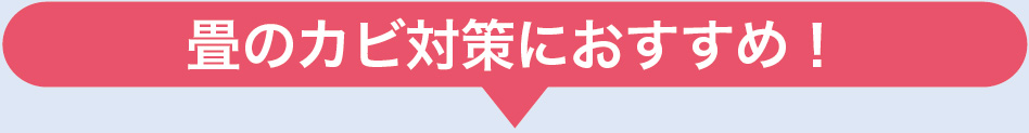 畳のカビ対策におすすめ!