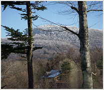 離山霧氷