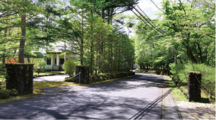 image photo