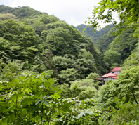 赤い屋根の建物が見えてきた