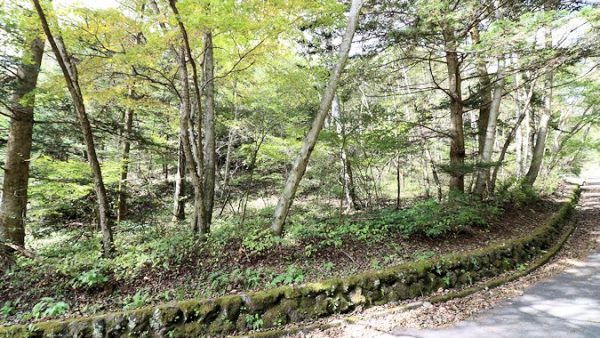 中軽井沢 泉ヶ丘別荘地