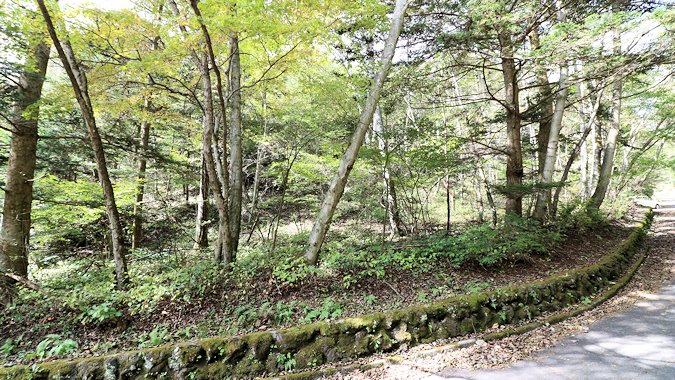 緩やかな南傾斜で日当たりも良好