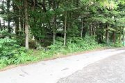 追分　土地（古家付）