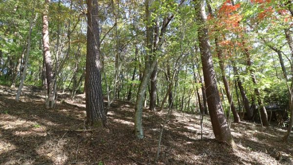 千ヶ滝山の手区　土地