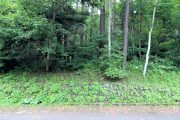 中軽井沢 甲山　土地