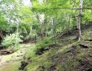緩やかなアプローチ