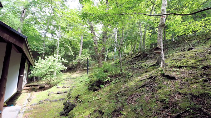緩やかなアプローチ