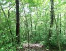 眺望が期待できる傾斜地