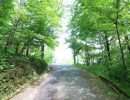 前面道路（右側が物件）