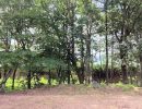 敷地内から南側を撮影