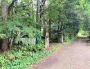 前面道路（北から南）