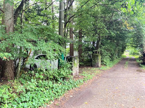 前面道路（北から南）