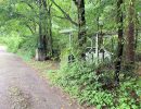 前面道路（南から北）