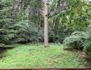 母屋から東の庭を見る