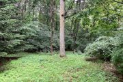 追分　土地（古家付）