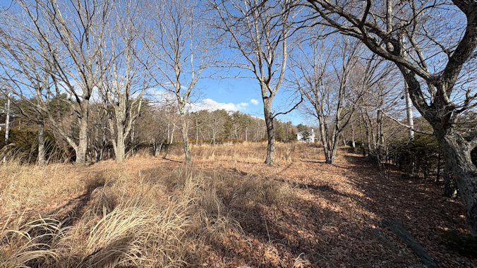 南東方向より撮影