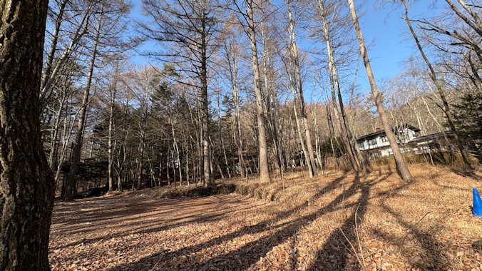 敷地東側より撮影