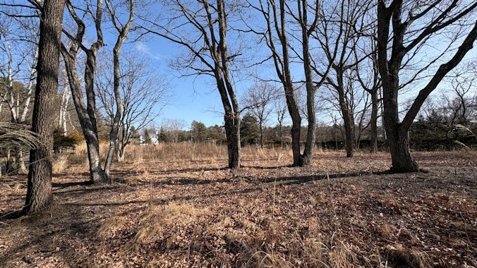 南西方向より撮影