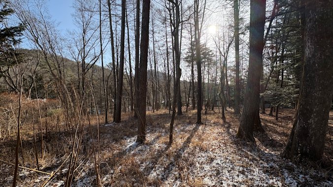 敷地北西方向より撮影