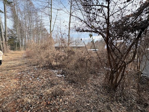 敷地北西側より撮影