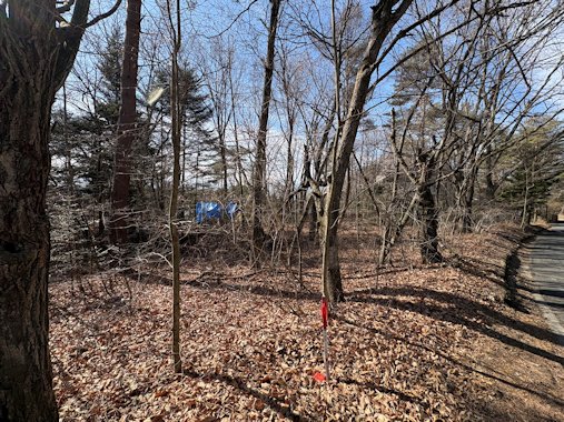 北東方向より撮影