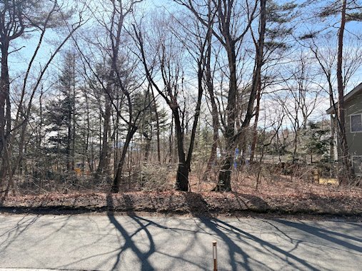 敷地全体を撮影