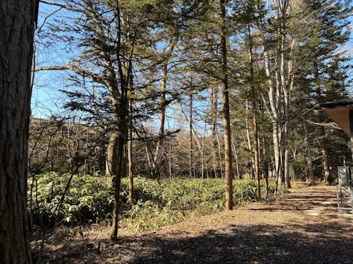 東道路から敷地②