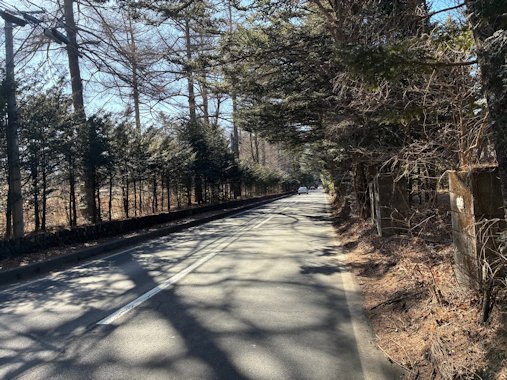 ロイヤルプリンス道路