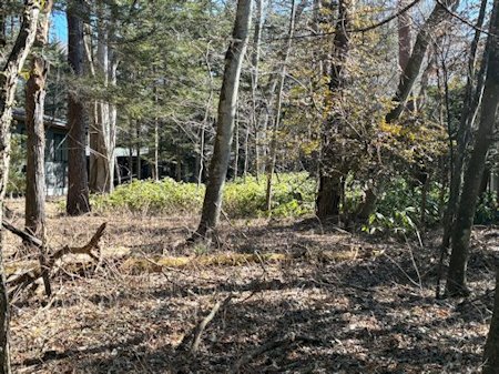 敷地内（西から東）