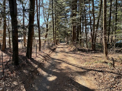 前面道路（北から南）