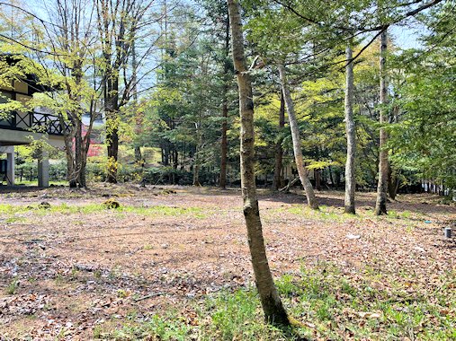 平坦なお庭