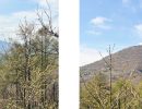デッキから望むプリンスホテルスキー場 ・                  デッキから望む離山