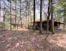 お庭と建物