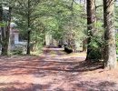 樹木が立ち並ぶ前面道路