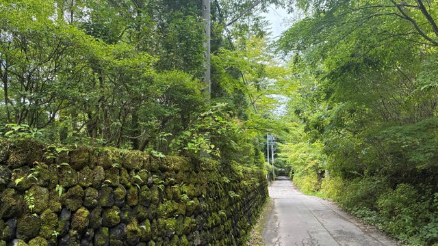 物件写真11