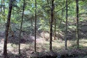 千ヶ滝東区 土地