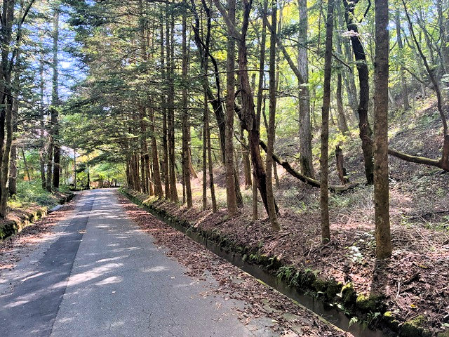 物件写真6