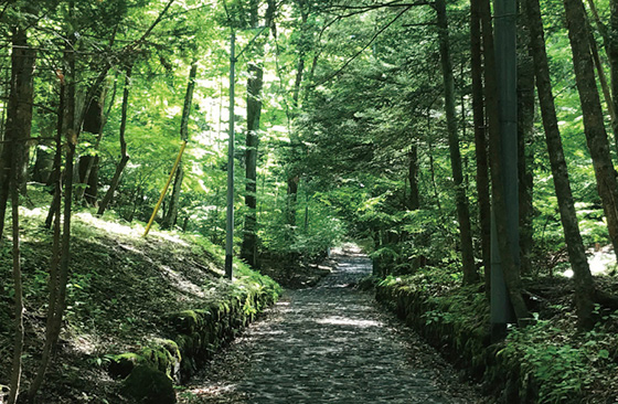 月刊軽井沢 Vol 9 軽井沢の別荘用物件を中古から新築まで取扱い 三井不動産グループ 三井の森