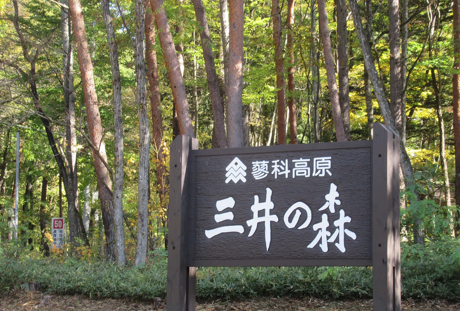 image photo