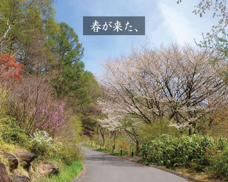 三井の森 高原生活の夢先案内 蓼科販売センター