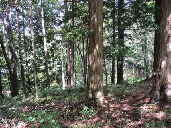土地（登録番号 23I011L）の画像