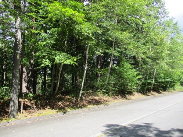 土地（登録番号 23I011L）の画像