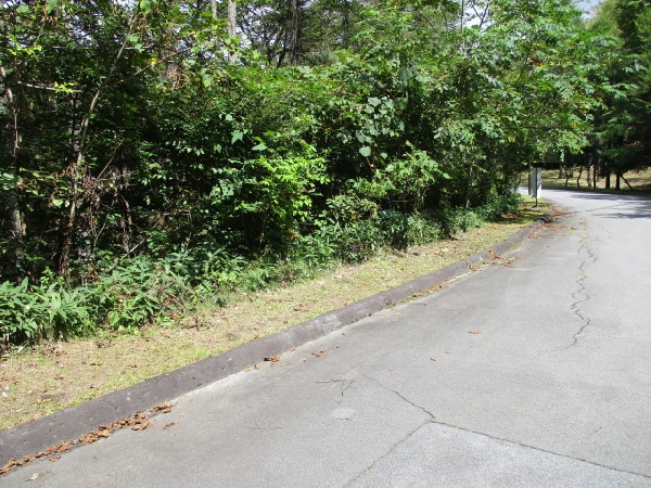 土地（登録番号：23I009L）の画像
