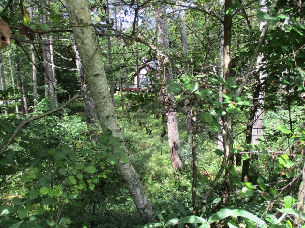 土地（登録番号：23I009L）の画像