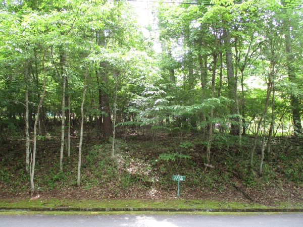 土地（登録番号：024I003L）の画像