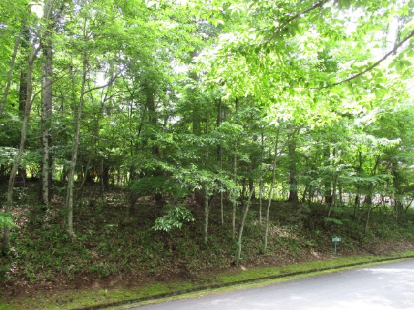 土地（登録番号：024I003L）の画像